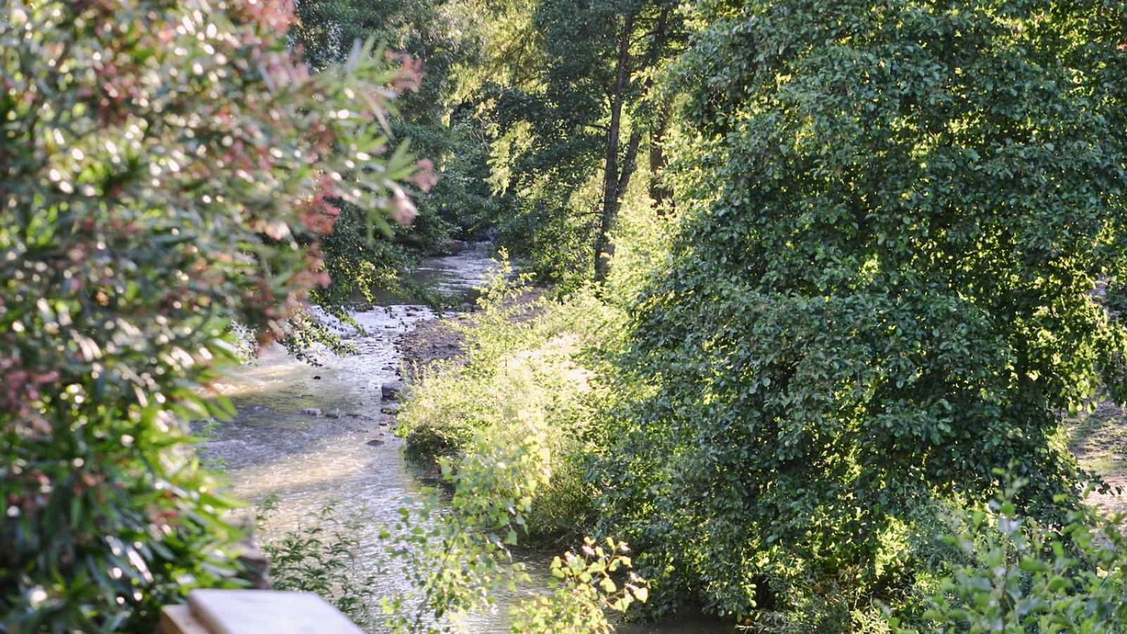 Gites De La Soulondre Lodève Dış mekan fotoğraf